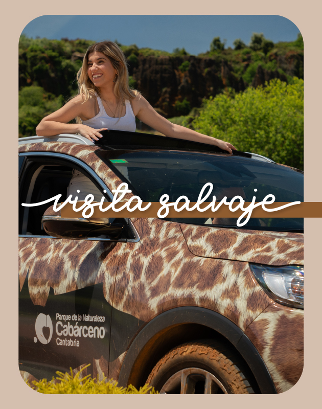 Visita Salvaje Cabárceno - miniatura experiencias