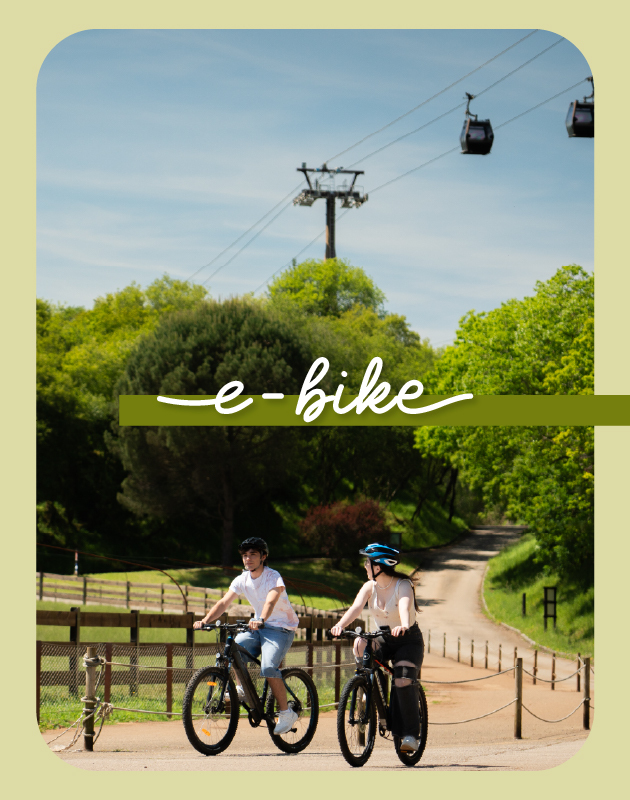 Cabárceno en eBike - miniatura experiencias