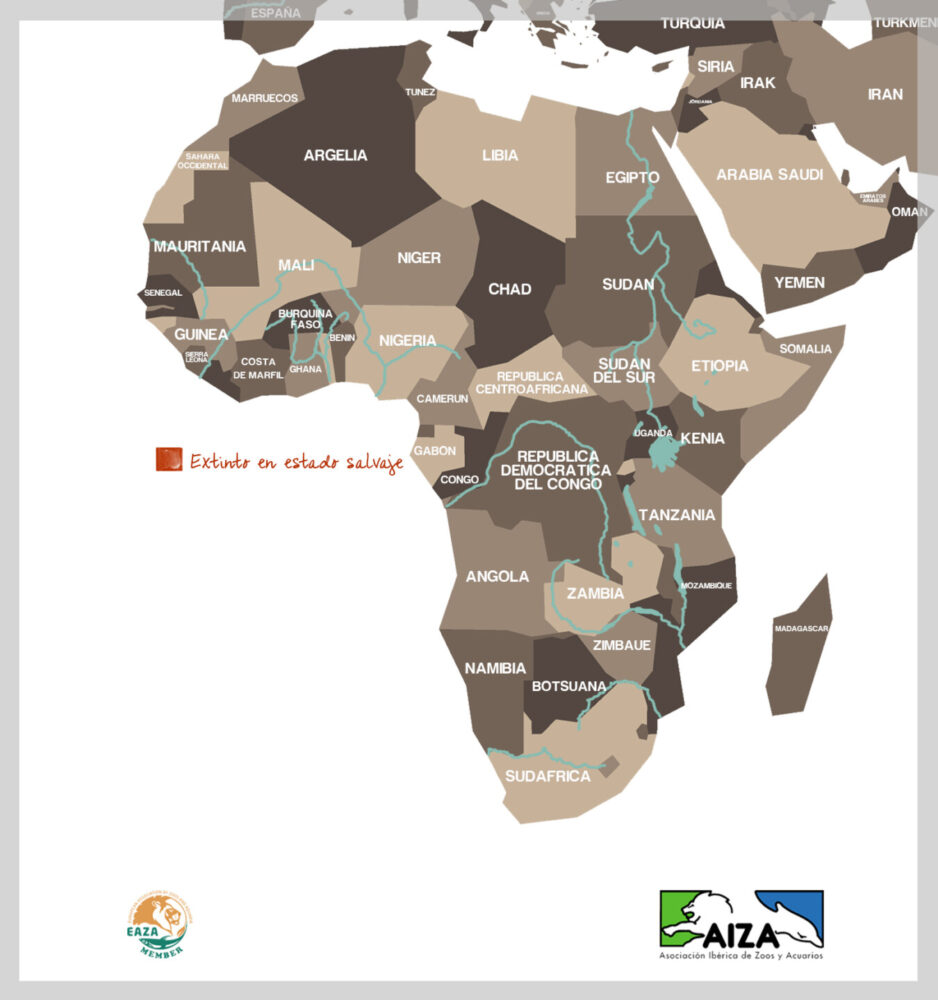 Dromedario - localización