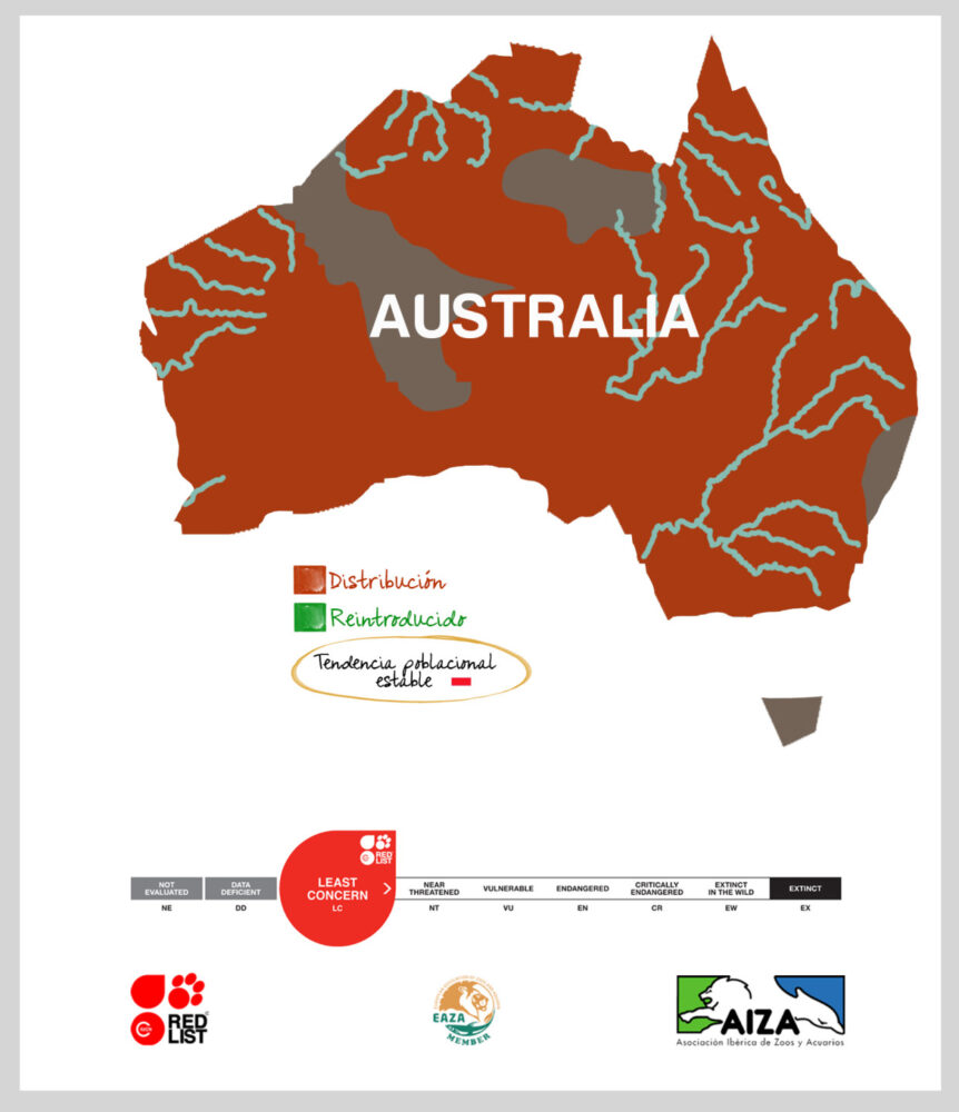 Emú - localización