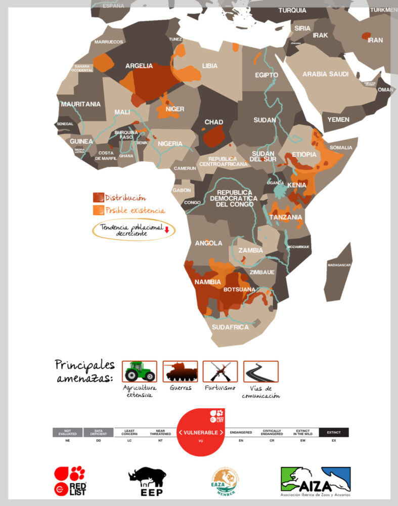 Guepardo - localización