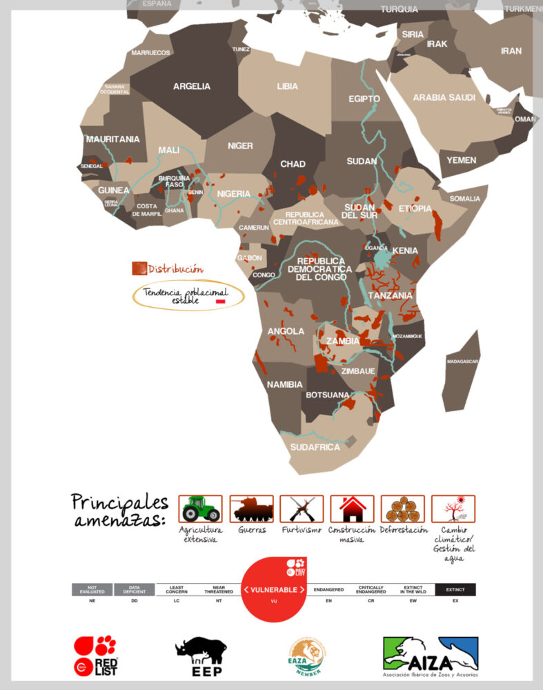 Hipopótamo anfibio - localización
