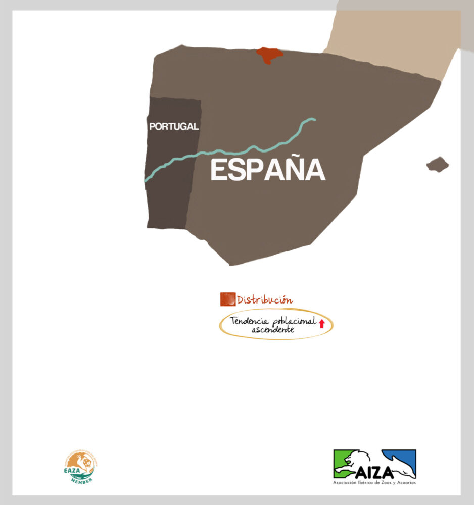 Vaca monchina - localización