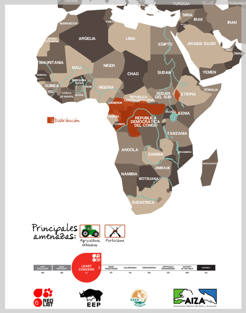 Mono de Braza - localización