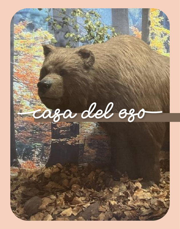 La Casa del Oso - minatura experiencias