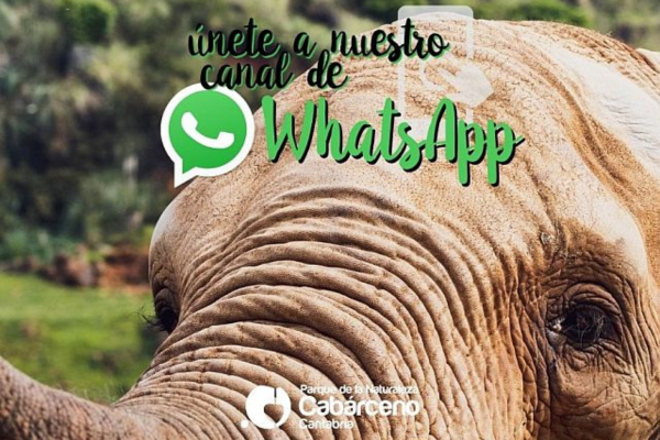 Cabárceno estrena canal de Whatsapp