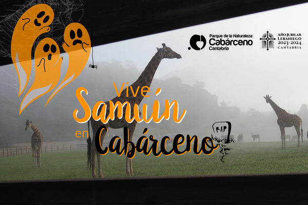 Halloween/Samuín en Cabárceno