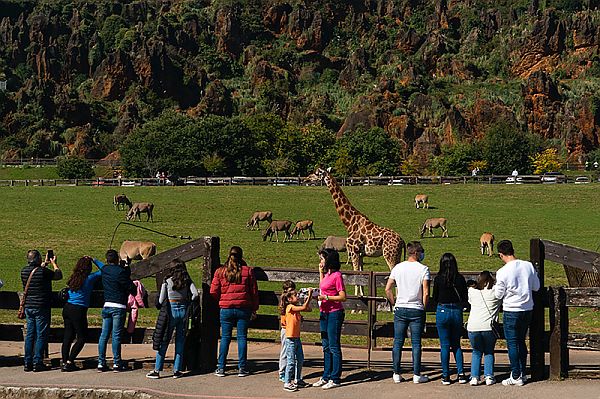 Récord de visitantes acumulados