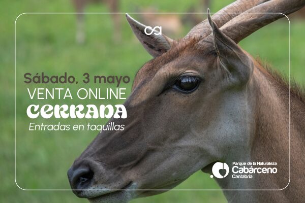 Venta online de Cabárceno para el 3 de mayo cerrada