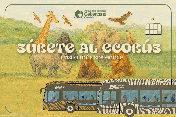 El Ecobús de Cabárceno, disponible un verano más.