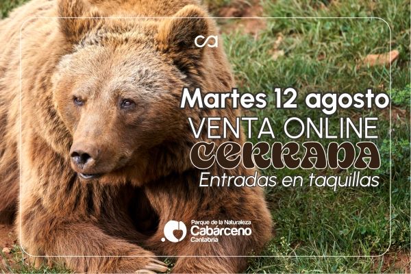 Cerrada la venta online para hoy