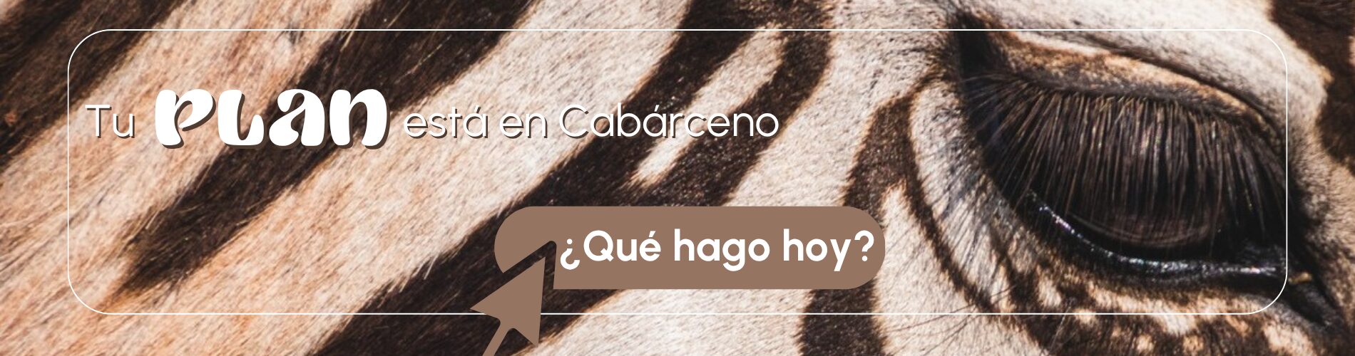 Tu plan está en Cabárceno