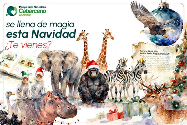Navidad en Cabárceno