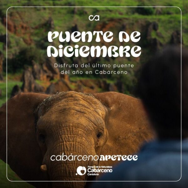 Horarios de Cabárceno en el Puente de Diciembre