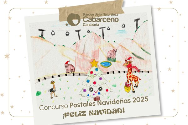 Ganadores del II Concurso Infantil de Postales Navideñas