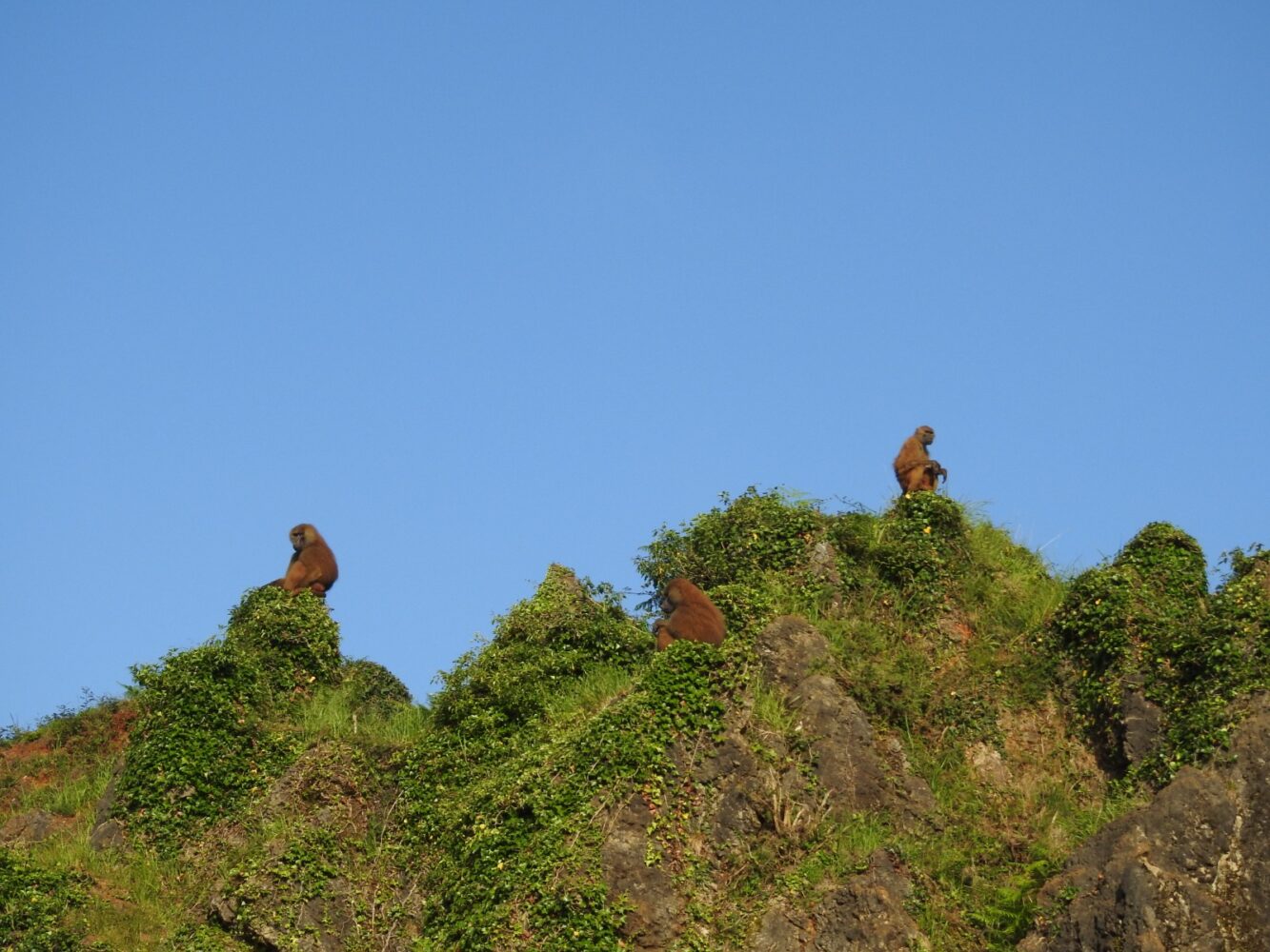 Cerrado temporalmente el acceso al Mirador del Rubí en Cabárceno